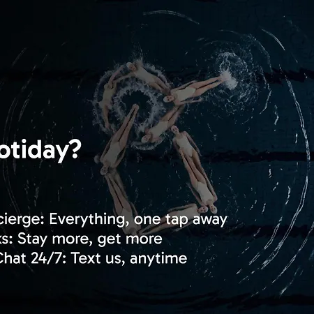 Hotiday Collection - 퓨기