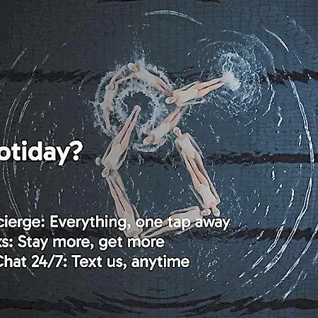 Hotiday Collection - פיוג'י
